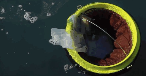 Thùng rác dưới nước: sáng kiến thu gom rác thải đơn giản nhưng hiệu quả tại Australia (22/4/2019)